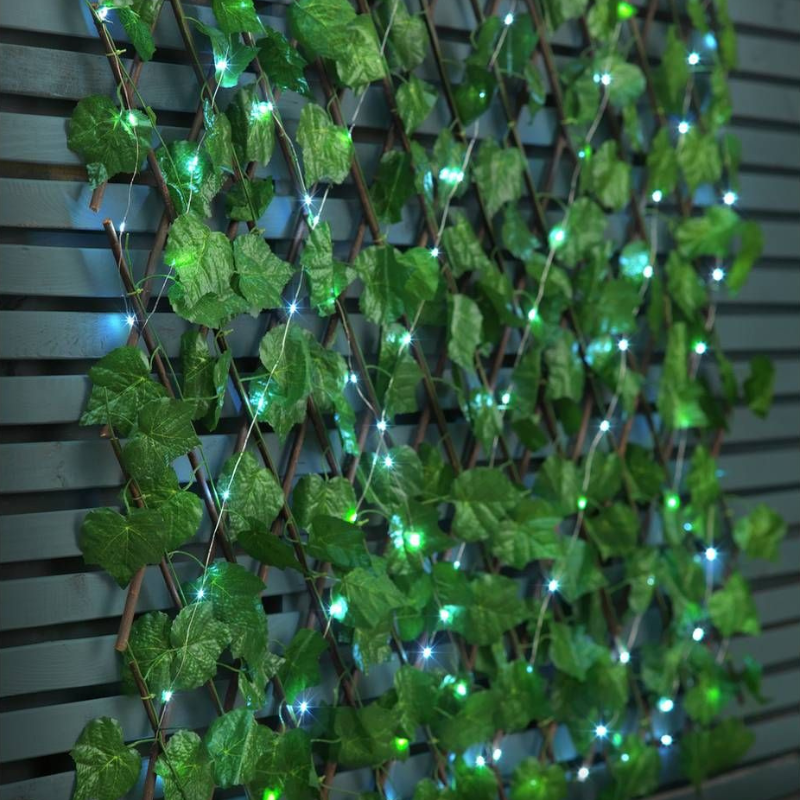 Easyhedge ™ | Ivy trellis