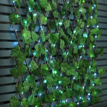 Easyhedge ™ | Ivy trellis
