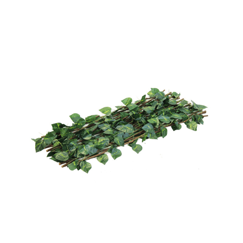 Easyhedge ™ | Ivy trellis