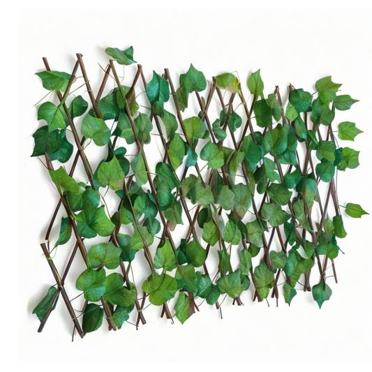 Easyhedge ™ | Ivy trellis