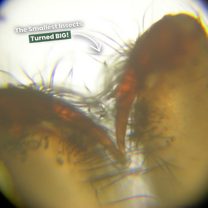 Little Scientist ® Miniscope