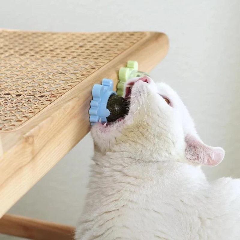 Jolball ™ | Catnip health toy
