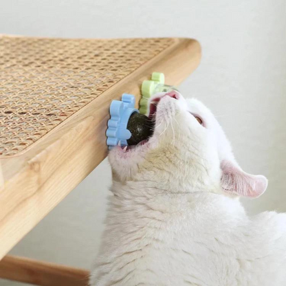 Jolball ™ | Catnip health toy