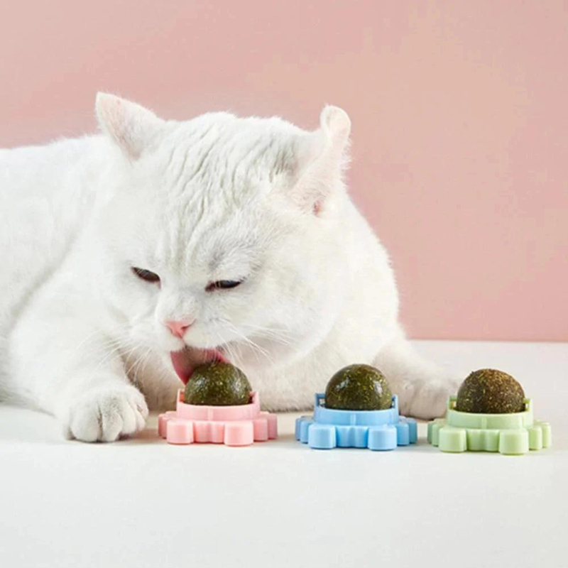 Jolball ™ | Catnip health toy