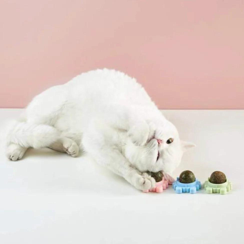 Jolball ™ | Catnip health toy