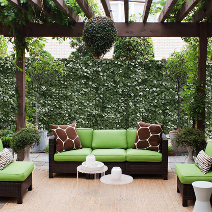 Easyhedge ™ | Ivy trellis