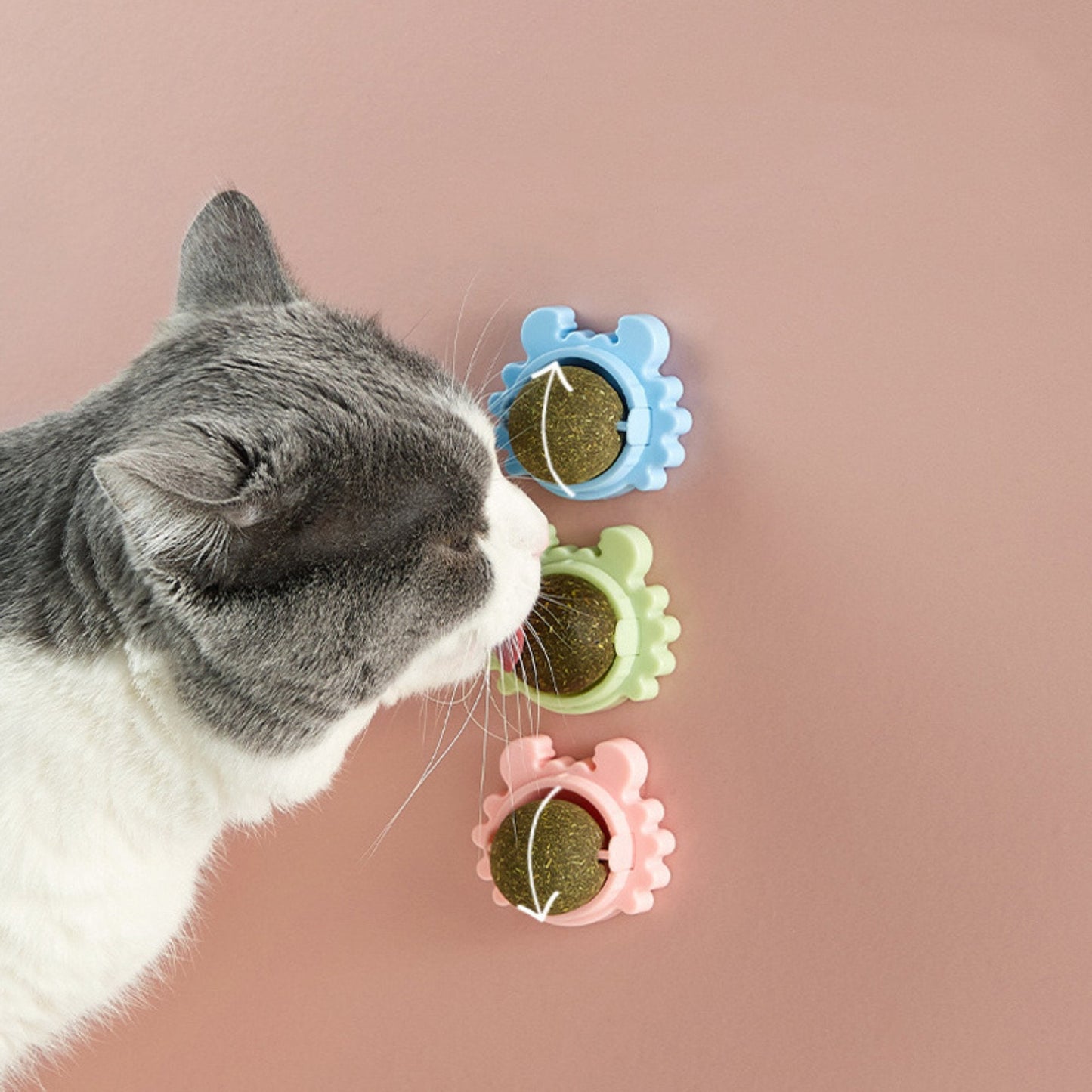 Jolball ™ | Catnip playtime health ball - Novela
