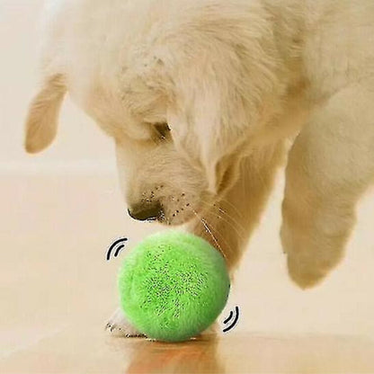 WoogieBall ™ | The interactive rolling dog ball - Novela